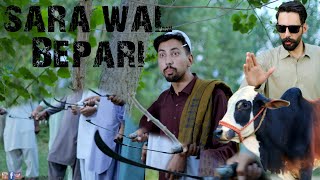 Sara wal Bepari  Buner Vines [upl. by Ifok]