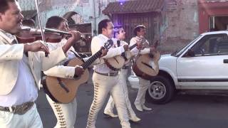 La Guadalupana Mariachi Continental de la Laguna [upl. by Territus]