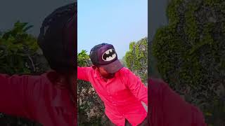 Jab se dil mese gailu tu nikal ke  bhojpuri song  short video  new song  trending video [upl. by Savill]