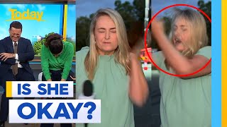 Reporter slaps herself trying to hit fly  Today Show Australia [upl. by Hanahsuar]