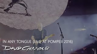 David Gilmour  In Any Tongue Live At Pompeii [upl. by Neelik844]