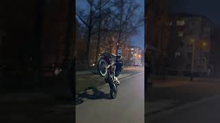 стант питбайк crf250 honda wheelie motocross bikelife honda стант stunt [upl. by Mackay210]