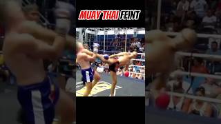 Muay Thai feint and side kick 🐉 muaythai mma fighter karate [upl. by Enelear]