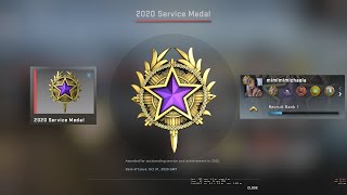 Purple Tier 4 2020 Service Medal  CSGO [upl. by Leifer196]