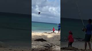 Catching fish at Dover Beach Barbados St Lawrence Gap near Ocean Restaurant [upl. by Etnoved]