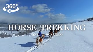 【VR】Abashiri Horse Trekking [upl. by Routh]