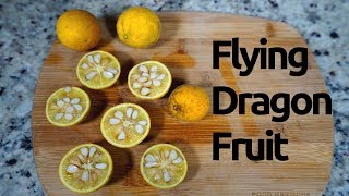 Wild Edibles Flying Dragon Fruit Trifoliate Orange [upl. by Otrebron143]