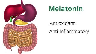 Understanding Melatonin with Dr Carrie Jones [upl. by Aivatan672]