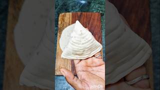 Easy Samosa folding for beginnerssamosarecipe samosafolding [upl. by Ahsyek865]