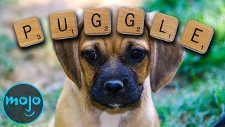 Top 10 Words You Can Now Use in Scrabble [upl. by Ranique]