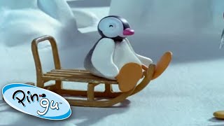 Pinga in a Box 🐧  Pingu  Official Channel  Cartoons For Kids [upl. by Llewellyn]