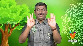 முத்திரைகள் மூலம் நோய்கள் தீரும் Healer Baskar 09032018  Epi1286 [upl. by Vogeley583]