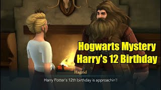 Beyond Hogwarts Harrys 12 Birthday Hogwarts Mystery [upl. by Arlina]