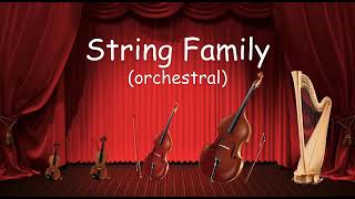 The String Family  Listen to the instruments of the strings family  Orchestra for Kids [upl. by Twyla]