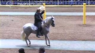 Ponce 2012 Caballos De Paso Fino 72 a 90 [upl. by Halette667]