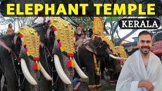 Thrissur Temples amp Food Tour  Thrissur Pooram  Kerala Tourist Places  South Indian Temples [upl. by Okimuy]