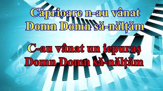 Domn Domn sănălțăm  Karaoke Sol Major [upl. by Adolph]