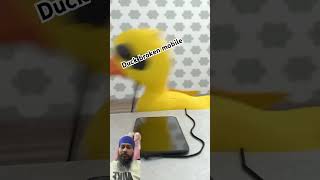 duck funny stitch memes toys babyduck humor funnyanimal comedy [upl. by Odlanar]