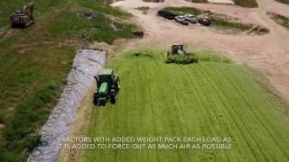 2017 Triticale Silage [upl. by Arrais]