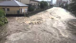 台風18号で氾濫寸前の境川（藤沢橋より②） [upl. by Halland]