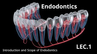 Endodontics Introduction and Scope of Endodontics  حشوات الجذور المحاضرة الاولى [upl. by Aerdnaxela]