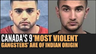 9 IndianOrigins Among Canadas ‘Most Violent Gangsters Who Are They [upl. by Bolling]