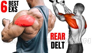 6 BEST REAR DELTOID EXERCISES AT GYM [upl. by Odyssey]