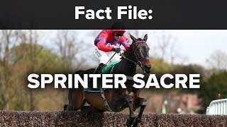 Fact File Sprinter Sacre [upl. by Llednohs773]