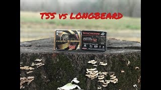 Federal TSS vs Winchester Long beard XR review [upl. by Newo297]