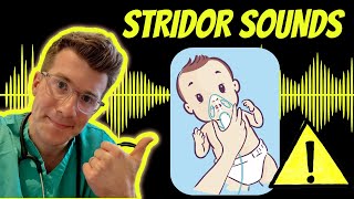 Doctor explains Stridor with real examples of sounds plus causes treatment and warning signs [upl. by Admana854]