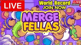 merge fellas live gameplay Funny Game [upl. by Krisha]