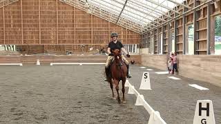 Level 1 Test 1 dressage test second try [upl. by Urbano]