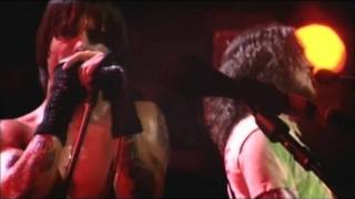 Red Hot Chili Peppers  Universally Speaking  Live at Olympia Paris [upl. by Asiak]