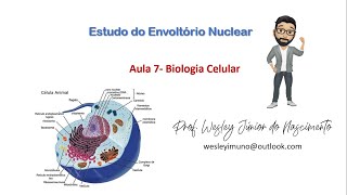 Biologia CelularEnsino SuperiorAula 07 O Envoltório Nuclear [upl. by Jenilee]