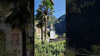 TICINO SWITZERLAND TRAVEL SHORTS YTSHORTS [upl. by Bergh906]