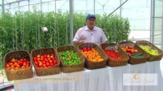 Greenhouse Tour  Part 1  Going Green  El Dorado Royale [upl. by Nosyd269]