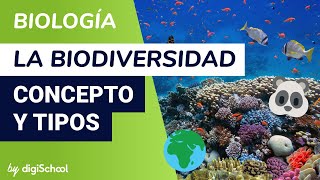 La biodiversidad Concepto y tipos  Biología  digiSchool [upl. by Eigger]