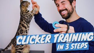 Clicker Training FOR CATS Tutorial  How to CLICKER TRAIN CAT in 3 steps [upl. by Gemperle161]