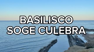 Soge Culebra  Basilisco LETRA [upl. by Mccoy]