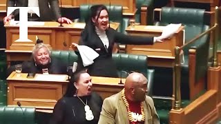 New Zealand parliament suspended after haka protest over Maori rights [upl. by Oznecniv778]