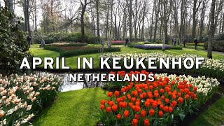 🇳🇱 April in Keukenhof  Netherlands 4K [upl. by Amliv]