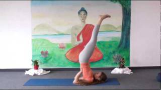 Beginners Yoga Class 20 Minutes [upl. by Irita243]