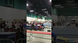 Greensboro Invitational vault [upl. by Allenrad]