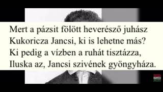 Petőfi Sándor János vitéz 1fejezet Hangoskönyv ￼￼ [upl. by Hebrew]