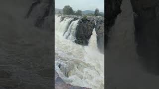 hogenakkal water fall  i visited today [upl. by Carlick764]