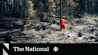 Quebec overwhelmed by more than 150 wildfires [upl. by Tareyn431]