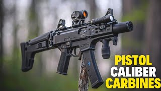 Top 10 pistol caliber carbines 2024 [upl. by Klimesh922]