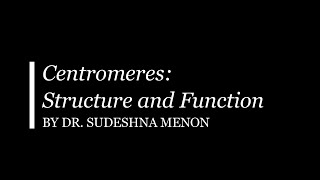 Centromere Structure and Function [upl. by Carthy]