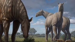 When Rhinos Were Bigger Than Dinosaurs [upl. by Damicke]