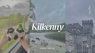 𝒗𝒍𝒐𝒈 𝟐𝟓  glendalough  kilkenny ☘️  爱尔兰郊外一日游 [upl. by Savihc]